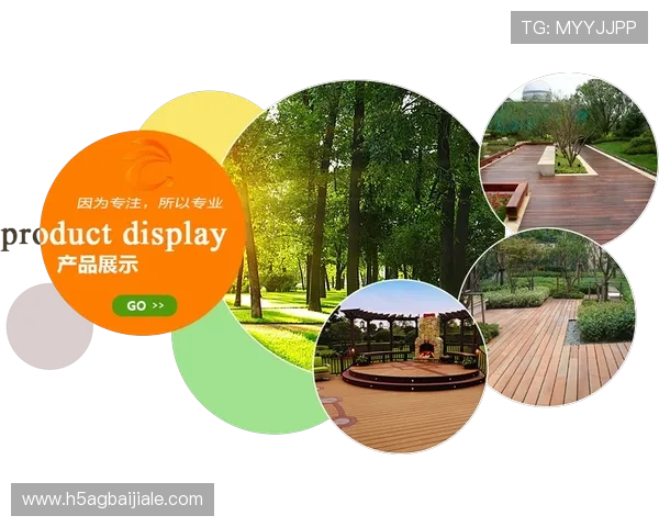 云顶投资有限公司的财务管理与风险控制策略研究 云顶投资有限公司的财务管理与风险控制策略研究